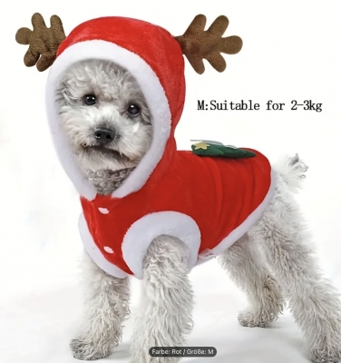 Weihnachtskleidung