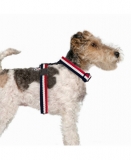 Milk & Pepper Courchevel Harness