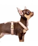 Milk & Pepper Straps Harness Kaya