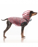 Milk & Pepper Arzel Rouge Regenjacke