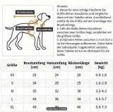 Sweater mit Herz und Kapuze