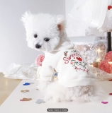 Sweater mit Herz und Kapuze