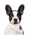 Milk & Pepper Gurvan Rose