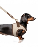 Milk & Pepper Java Brustgeschirr Chocolat