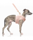 Milk & Pepper Fuji Brustgeschirr Rose