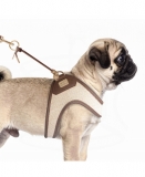 Milk & Pepper Sumatra Brustgeschirr Chocolat