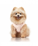 Milk & Pepper Azumi T-Shirt