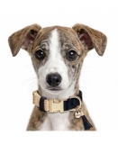 Milk & Pepper Selena Halsband